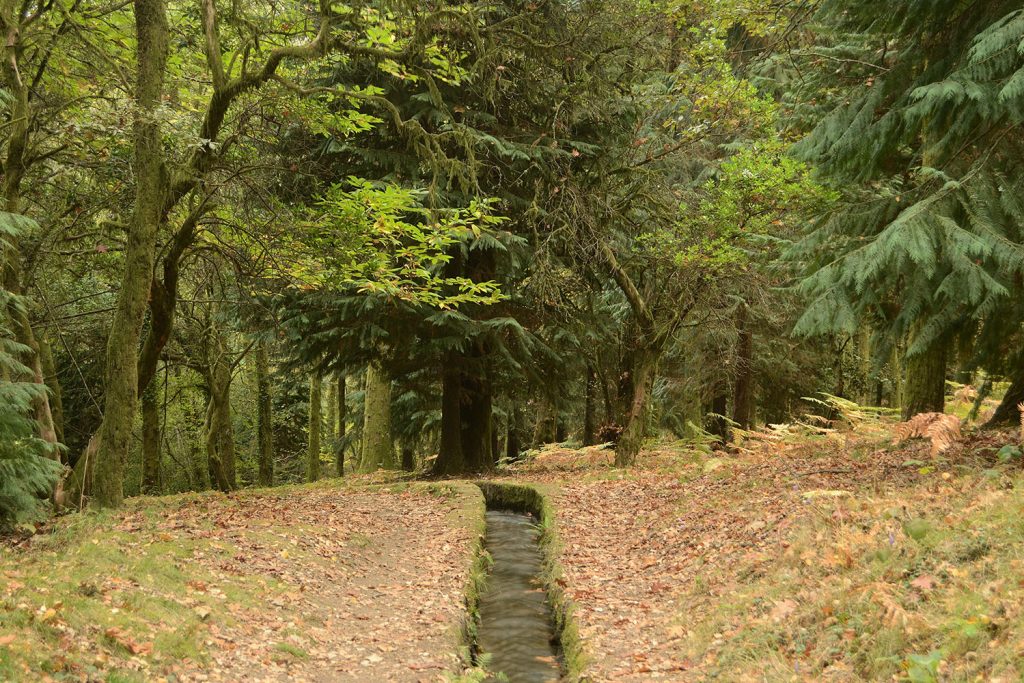 Levada da Víbora – Moinhos do Rei, em Cabeceiras de Basto