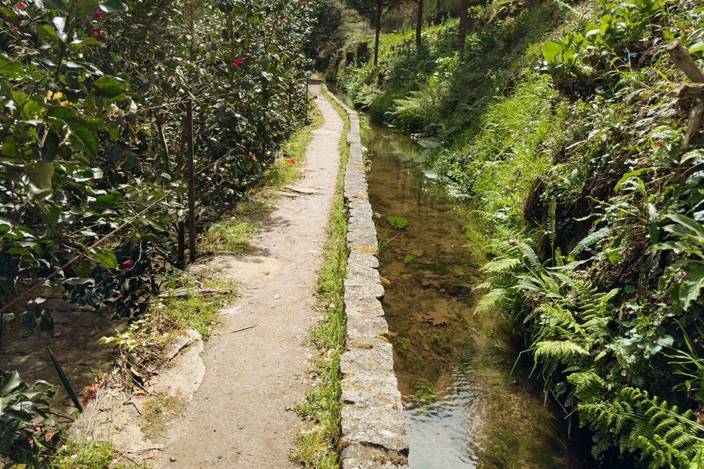 Levadas de Jugueiros, em Felgueiras
