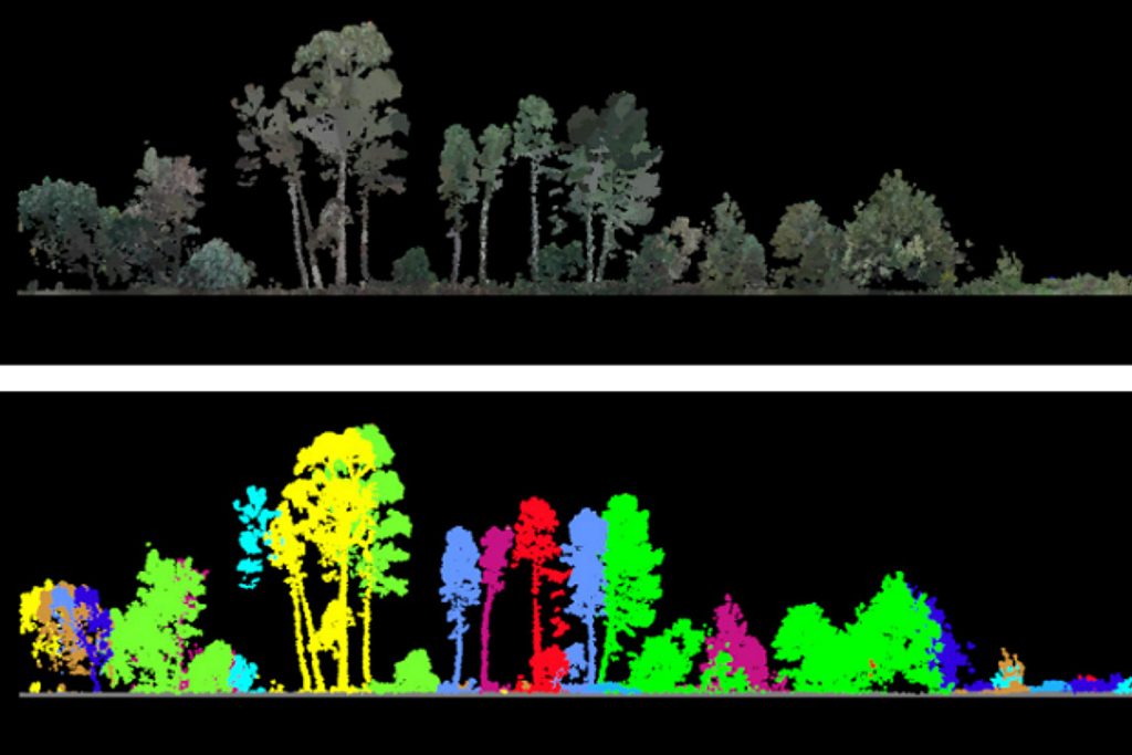 “A tecnologia LiDAR altera radicalmente a forma como vemos a floresta. Ao contrário de outras metodologias convencionais, como o inventário florestal por amostragem ou a fotogrametria por imagem, o sensor LiDAR aéreo emite um feixe laser que penetra nos espaços entre a folhagem e atinge o solo. O feixe é depois devolvido ao sensor, que regista a distância dos objetos. São estas medições que permitem mapear a estrutura do coberto florestal ou arbustivo e obter uma imagem detalhada e completa da sua arquitetura”, explica o especialista.