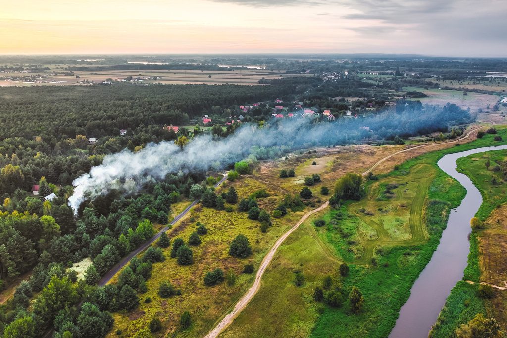 Greenpeace analisa 80 anos de incêndios em Portugal e apela à mudança