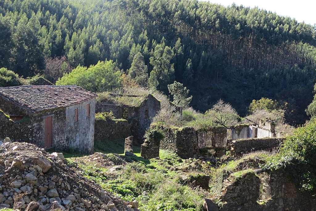 Greenpeace analisa 80 anos de incêndios em Portugal e apela à mudança