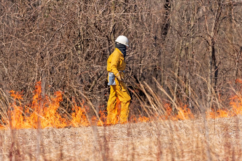 Greenpeace analisa 80 anos de incêndios em Portugal e apela à mudança