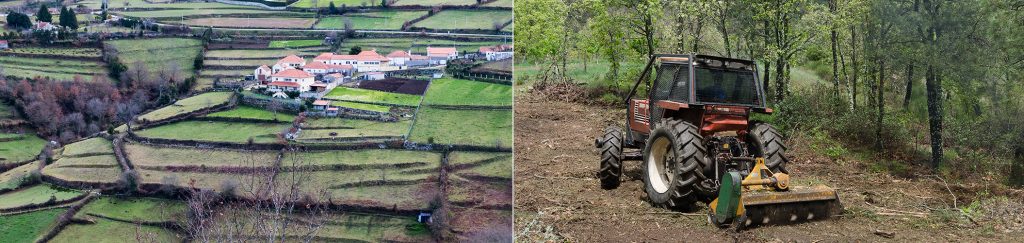 Quais são as exigências da Greenpeace para alterar o paradigma dos incêndios em Portugal?