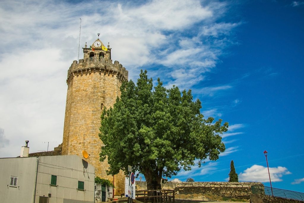 Lendas das árvores: o que conta a tradição portuguesa? Lendas das árvores: o que conta a tradição portuguesa?