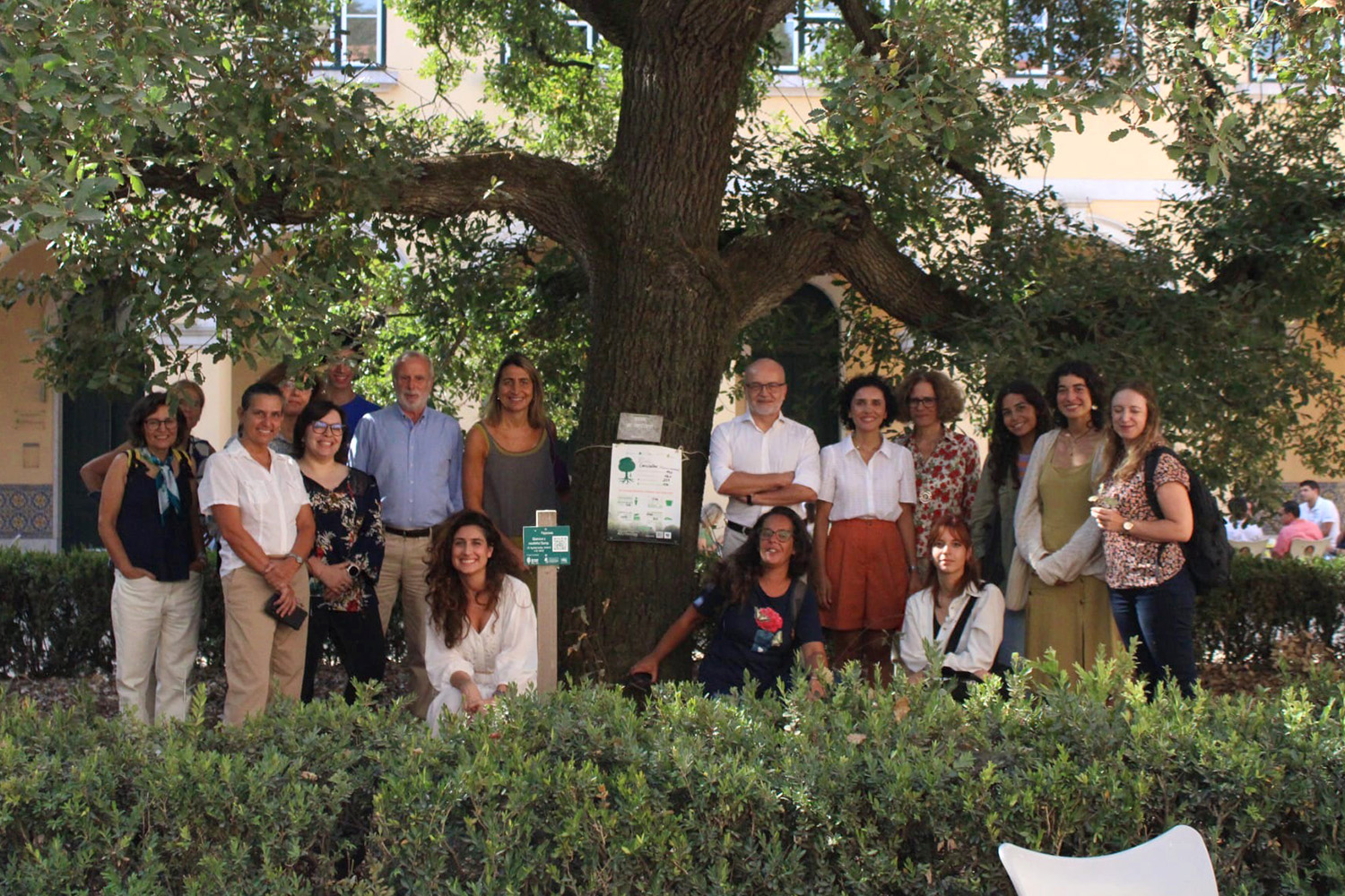 TreeTag Day 2026 revela o valor invisível das árvores