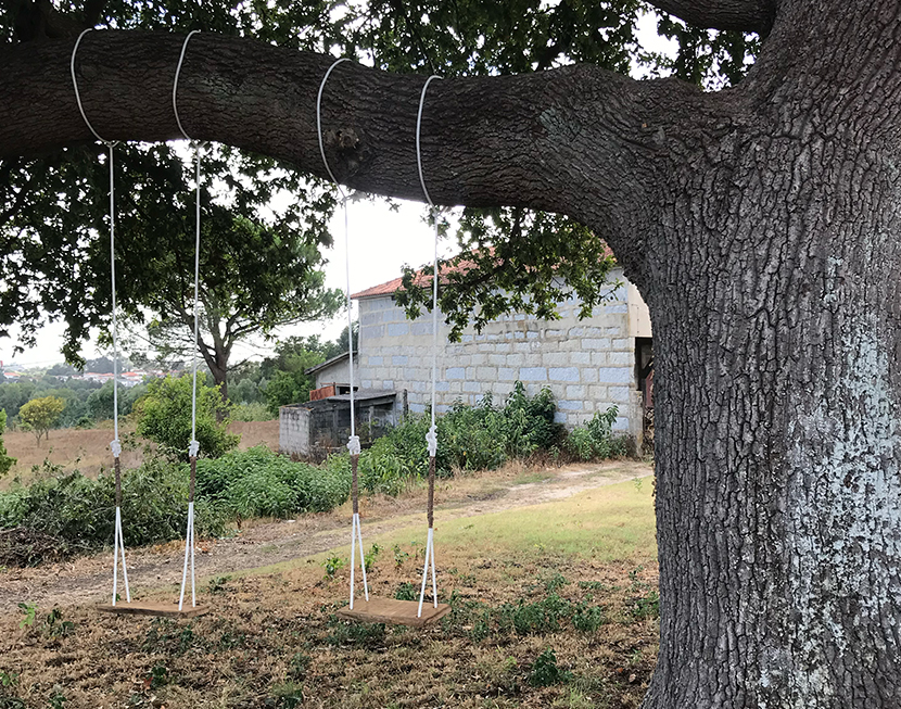 Uma sala de estudo na Natureza, rica em Vitamina N Uma sala de estudo na Natureza, rica em Vitamina N