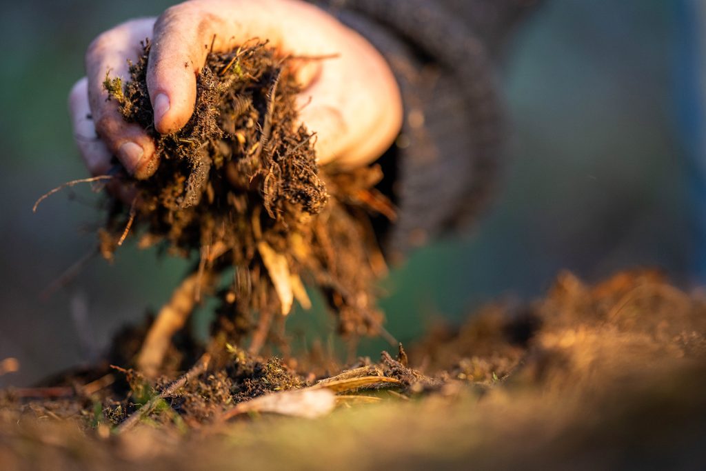 O solo como a base da agricultura regenerativa