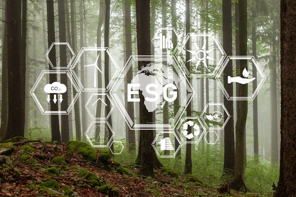 Verificação de Impacto FSC apoia reporte de sustentabilidade Verificação de Impacto FSC apoia reporte de sustentabilidade