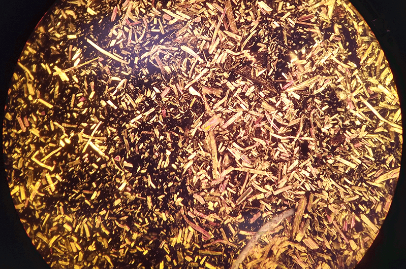 Imagem Interior Mercado Nanocelulose